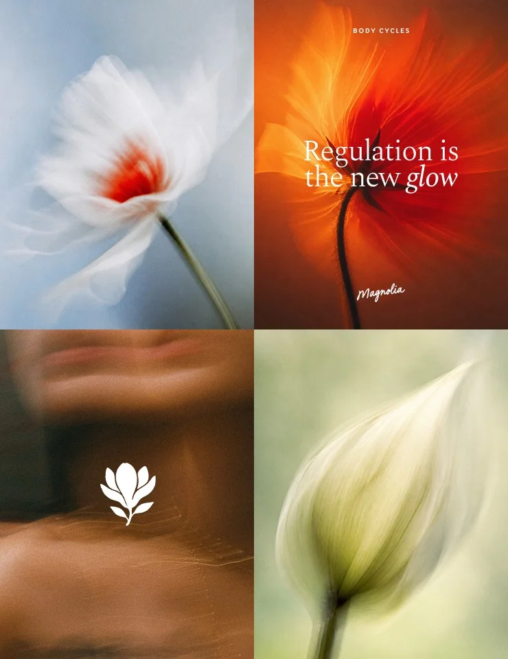 Magnolia brand imagery with flowers and logo